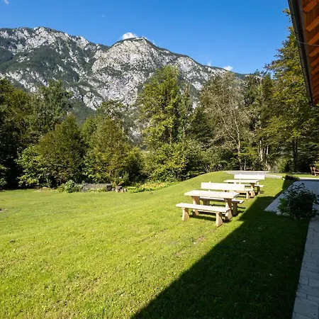 Apartment Goldhorn Kingdom Bohinj