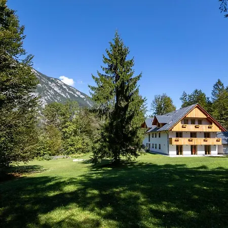 Apartment Goldhorn Kingdom Bohinj